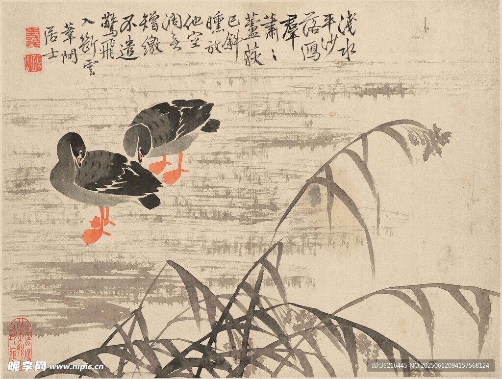 双鸭戏水图