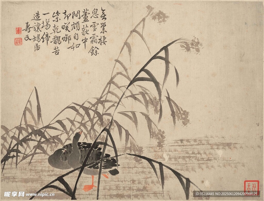 水墨蜻蜓芦苇图