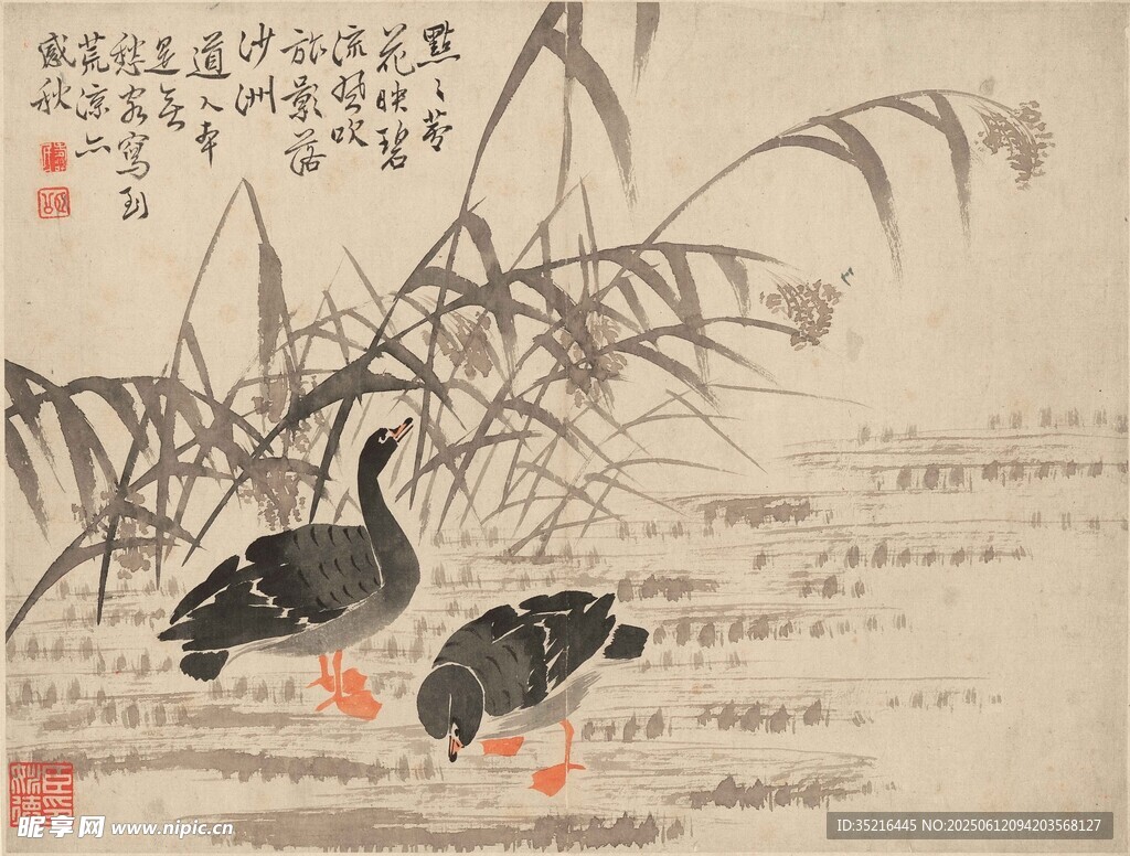 水墨芦塘双鸭图