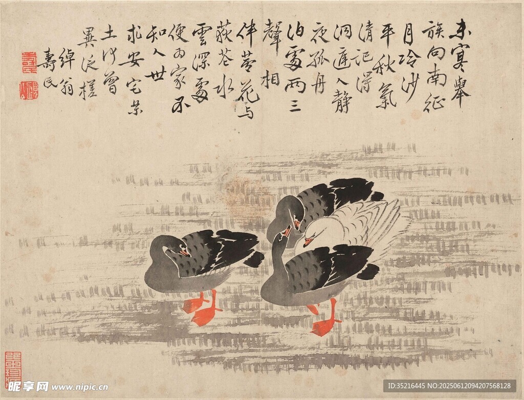 水墨群鸭图
