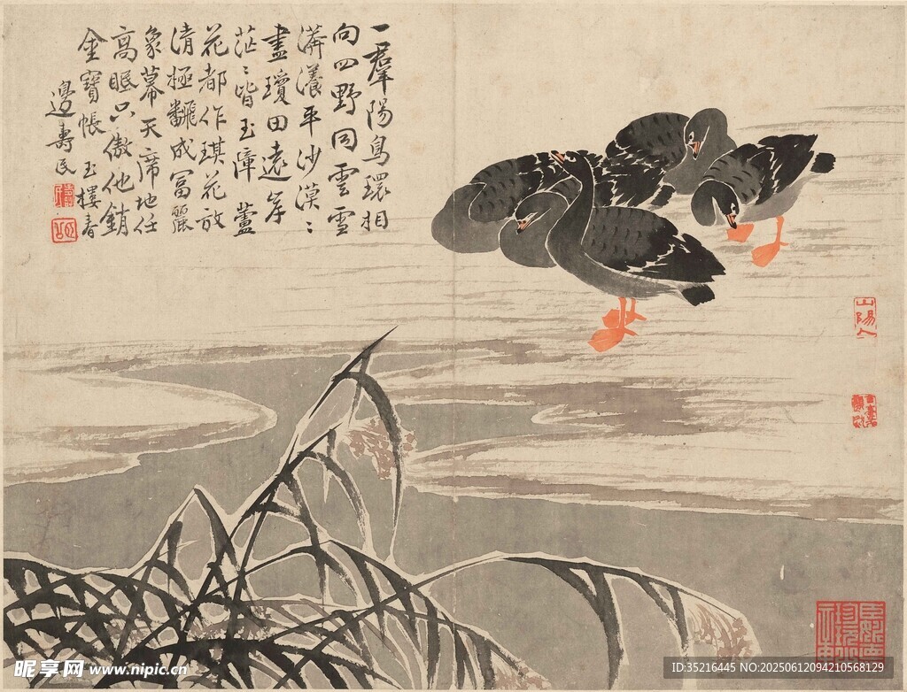水墨荷塘图