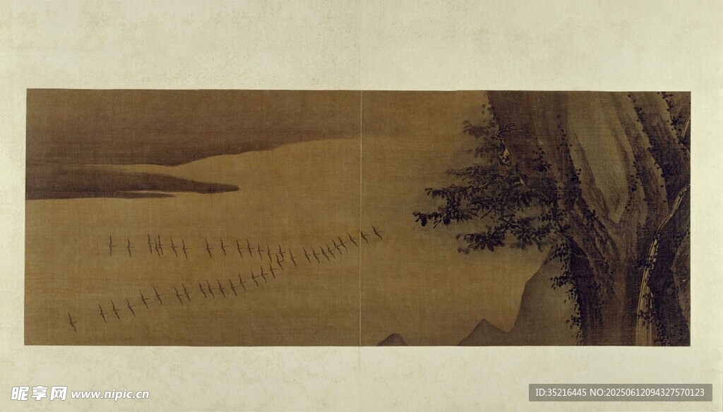 沙漠中的孤树景观