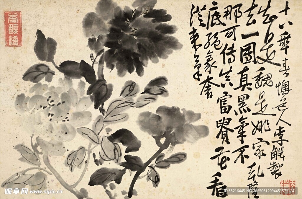 水墨牡丹图