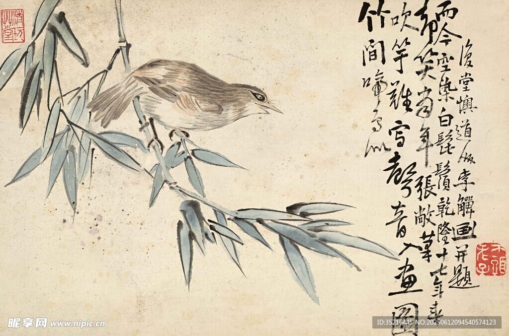 竹枝上的小鸟