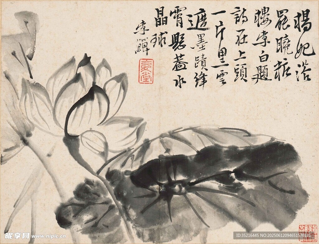 水墨荷花图