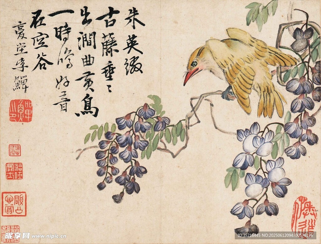 古画中栖于藤蔓的雀鸟