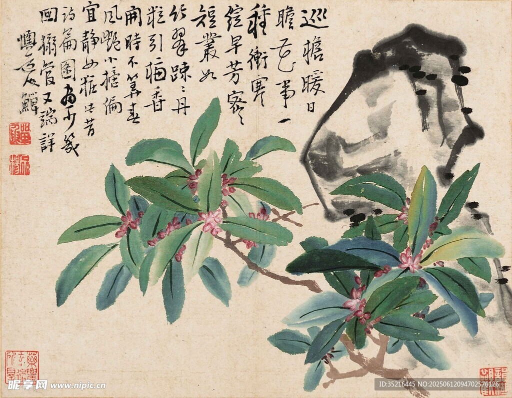 国画花鸟图中的枇杷与鸟