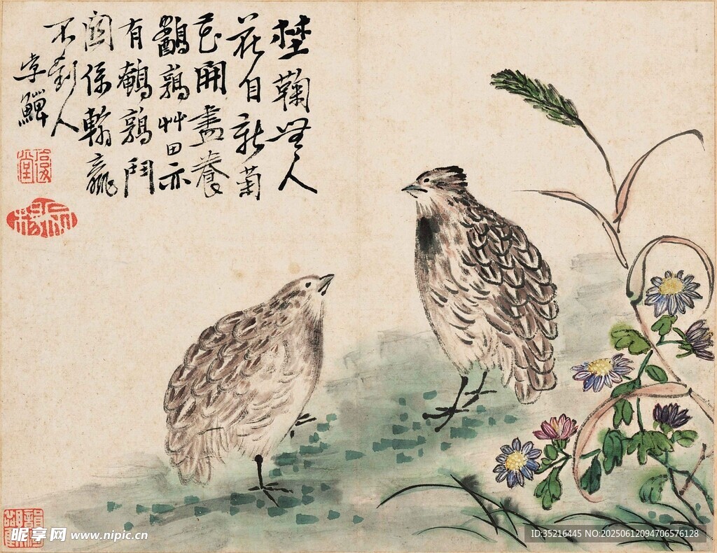 双鹑图