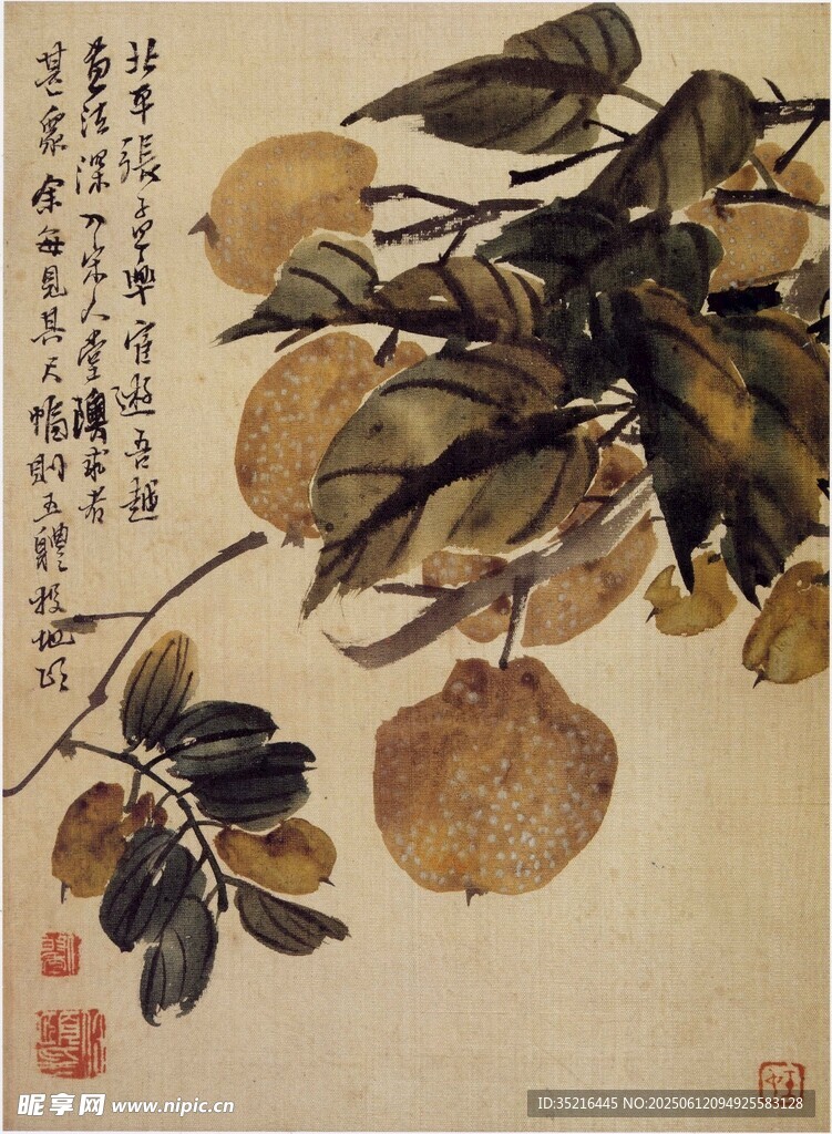 国画秋果图