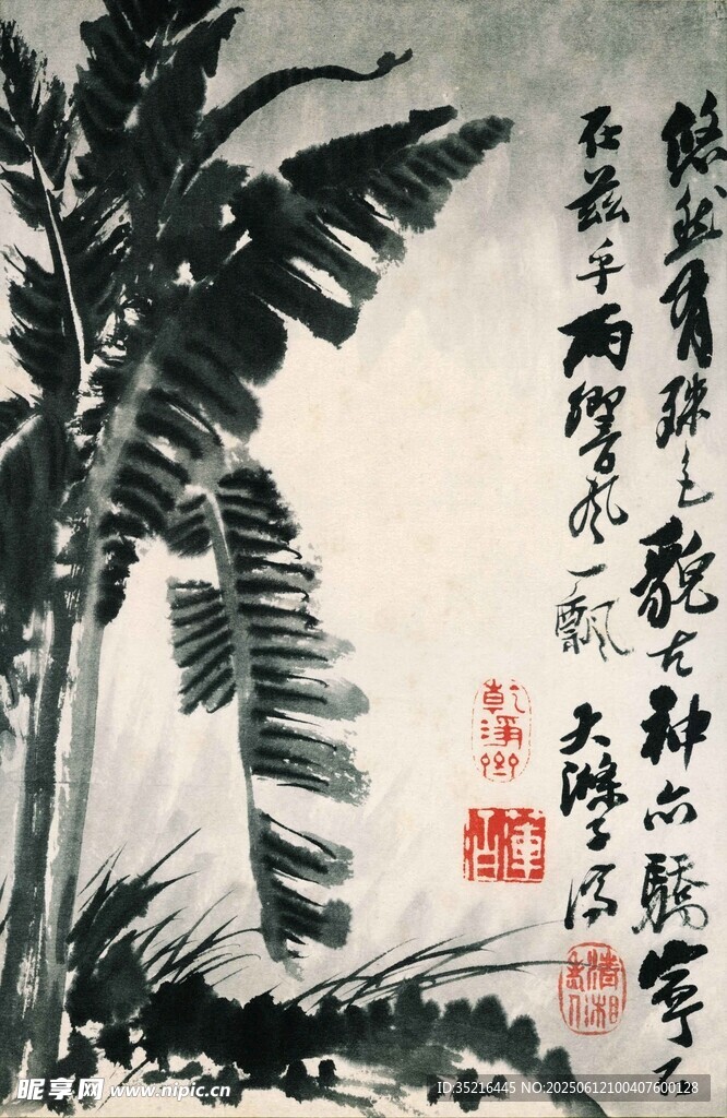 水墨芭蕉图