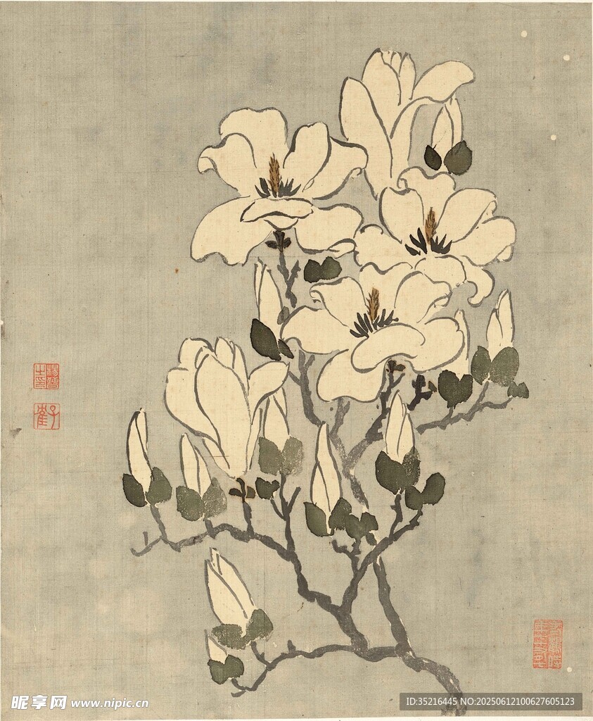 水墨玉兰花图