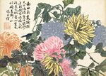 国画菊花图