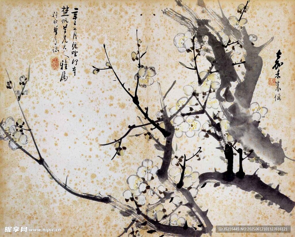 画
