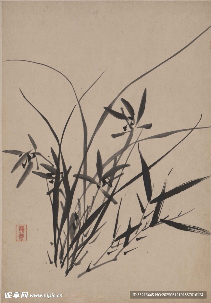 画