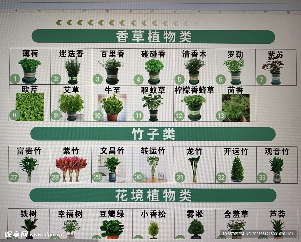 各种花图片园艺植物素材