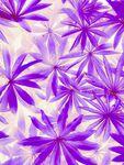 紫色花卉图案背景纹理