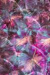 梦幻炫彩抽象花纹图案