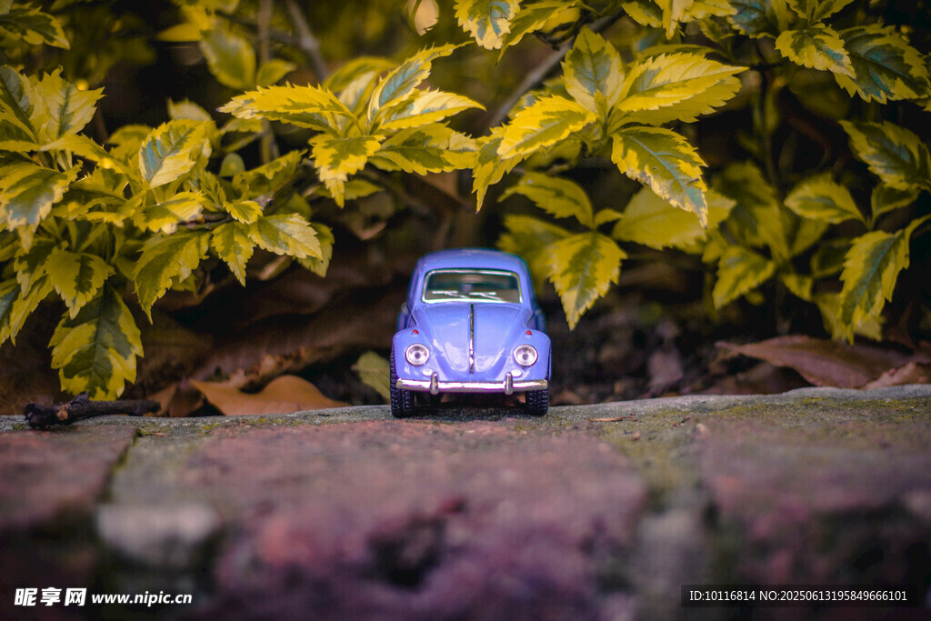玩具汽车