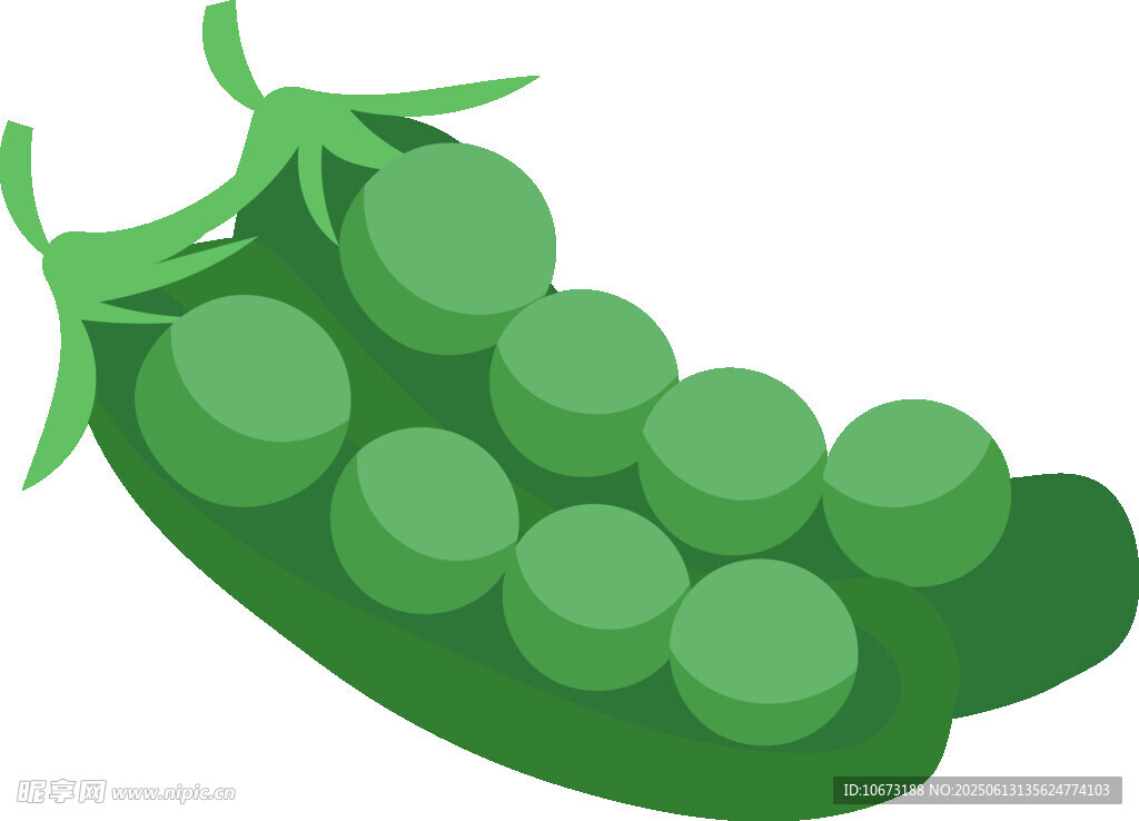 翠绿豌豆荚中的鲜嫩豆子