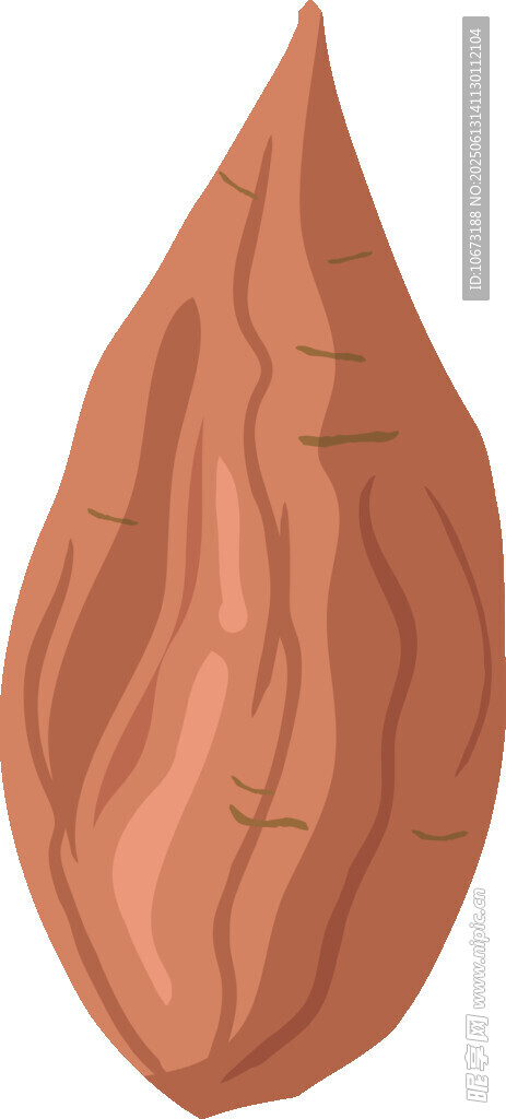棕色杏仁插画