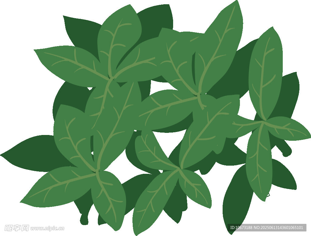翠绿叶片植物插画