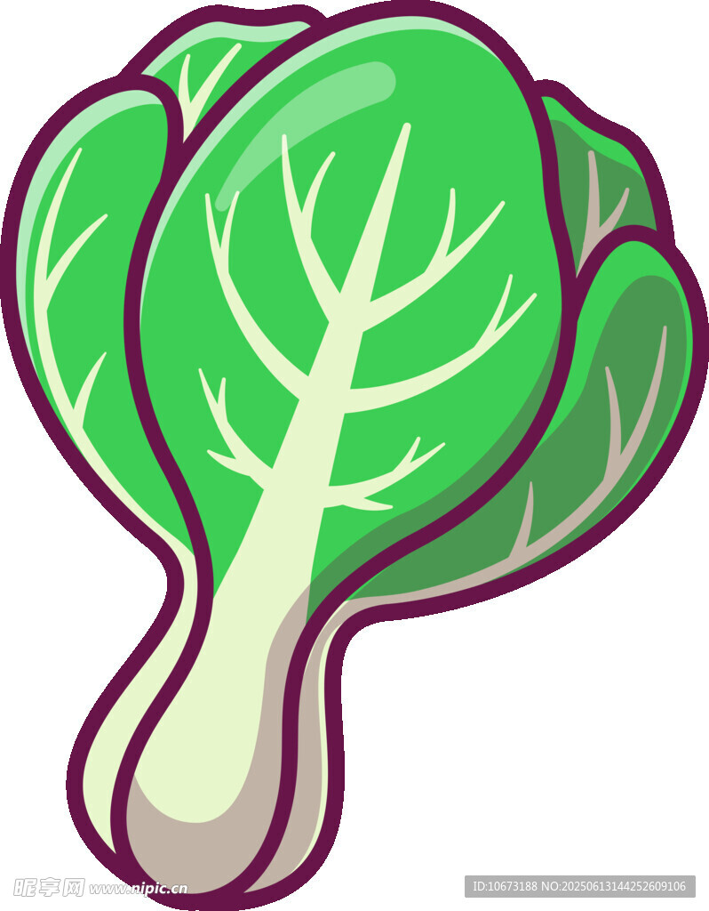 卡通白菜插画