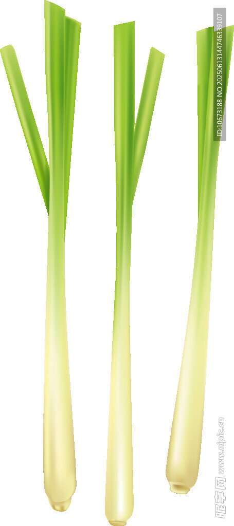 新鲜大葱