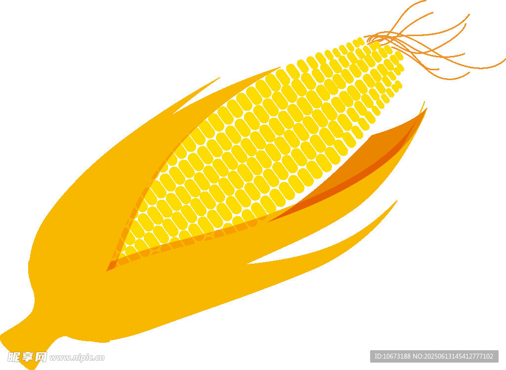 黄色玉米插画