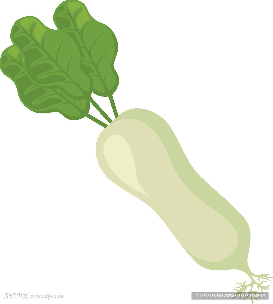 卡通白萝卜插画