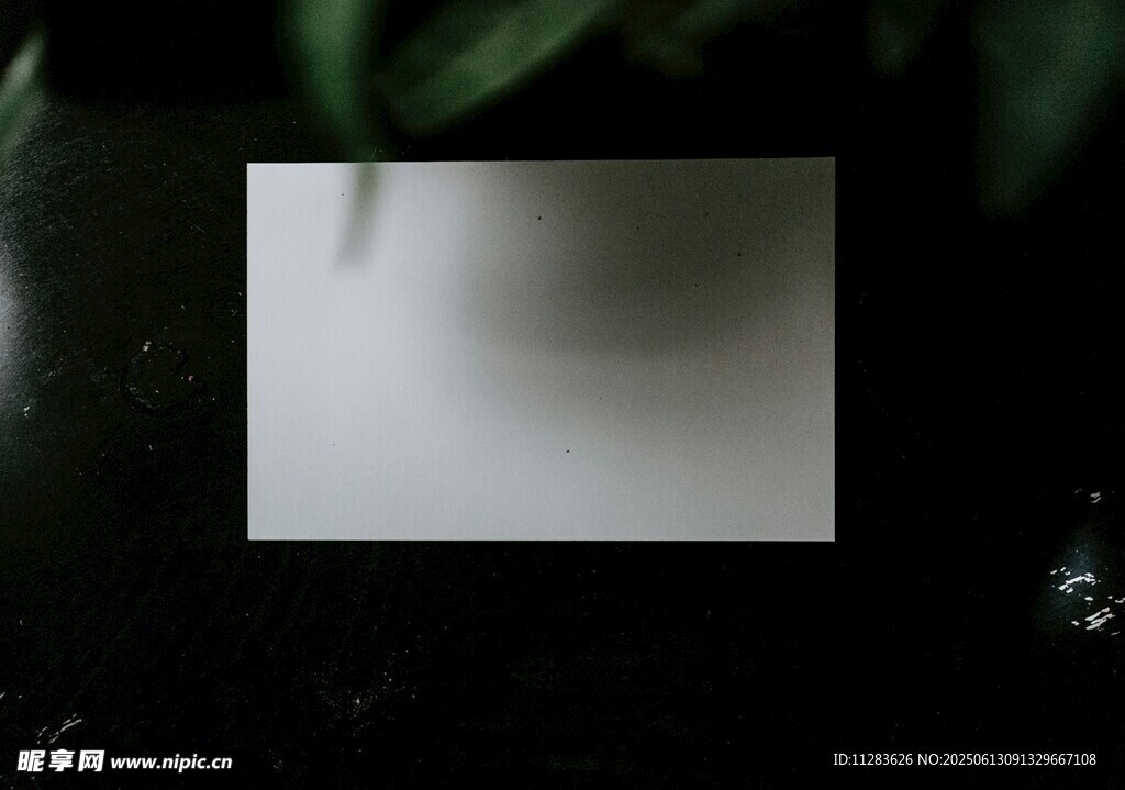 白纸