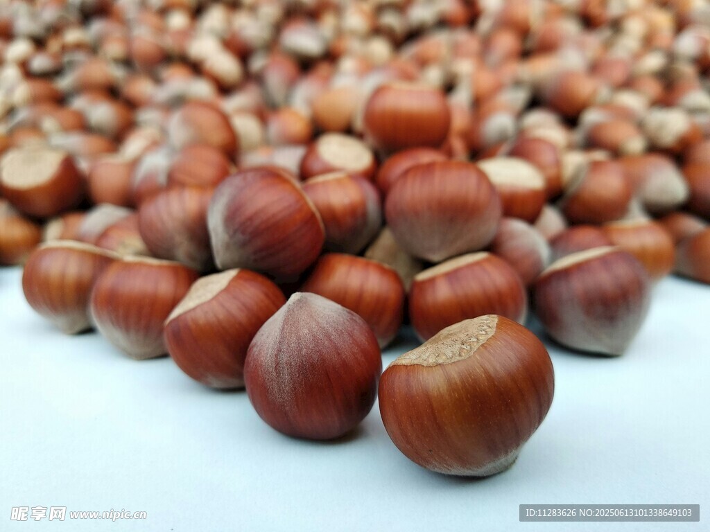 榛子特写