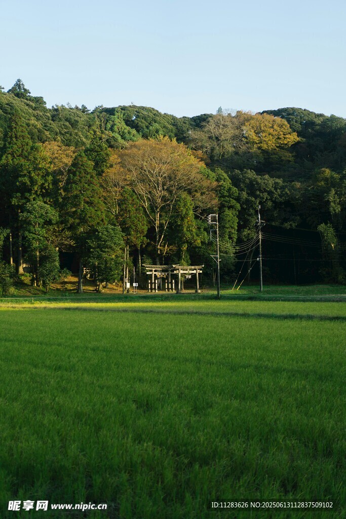 绿野葱林的美丽田园风光