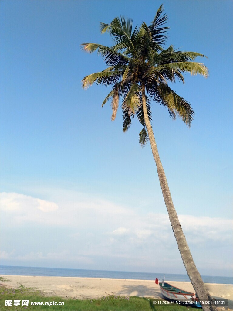 海边孤椰与小船