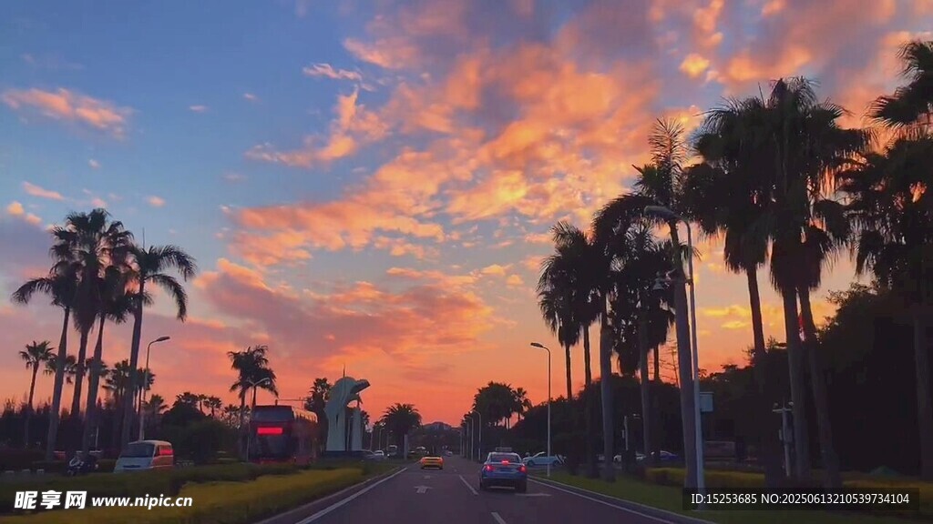 夕阳下的棕榈树道路美景