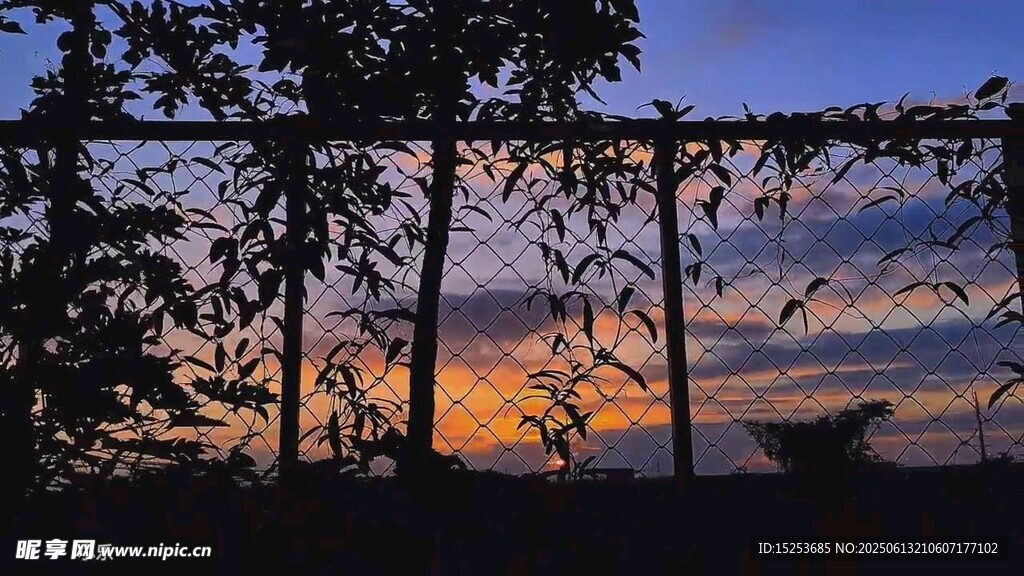 夕阳下透过树木的美丽景致