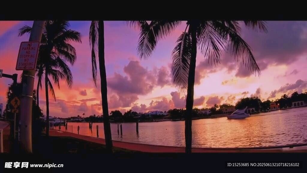 海边日落时的椰树美景