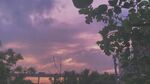 黄昏下的树林与梦幻天空