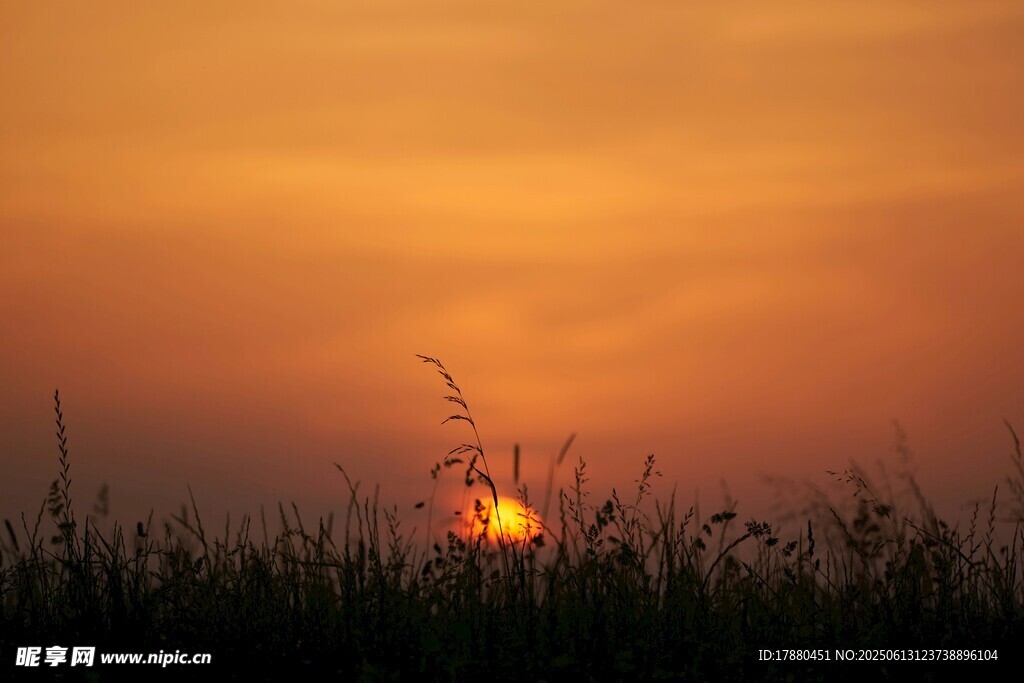夕阳下的草地
