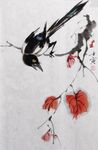 喜鹊