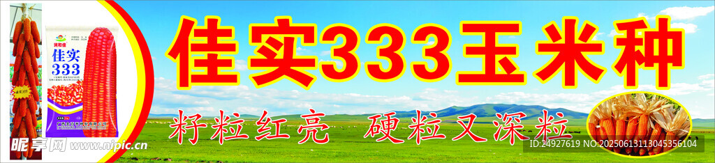 玉米种招牌