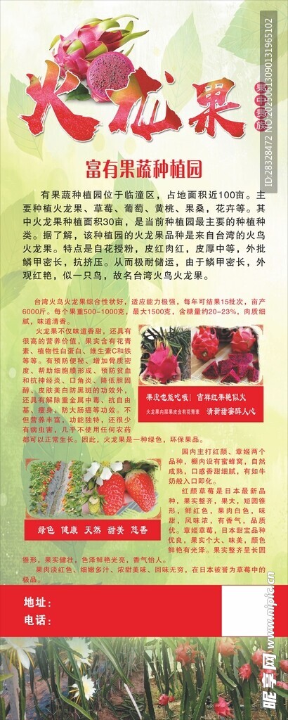 火龙果展架
