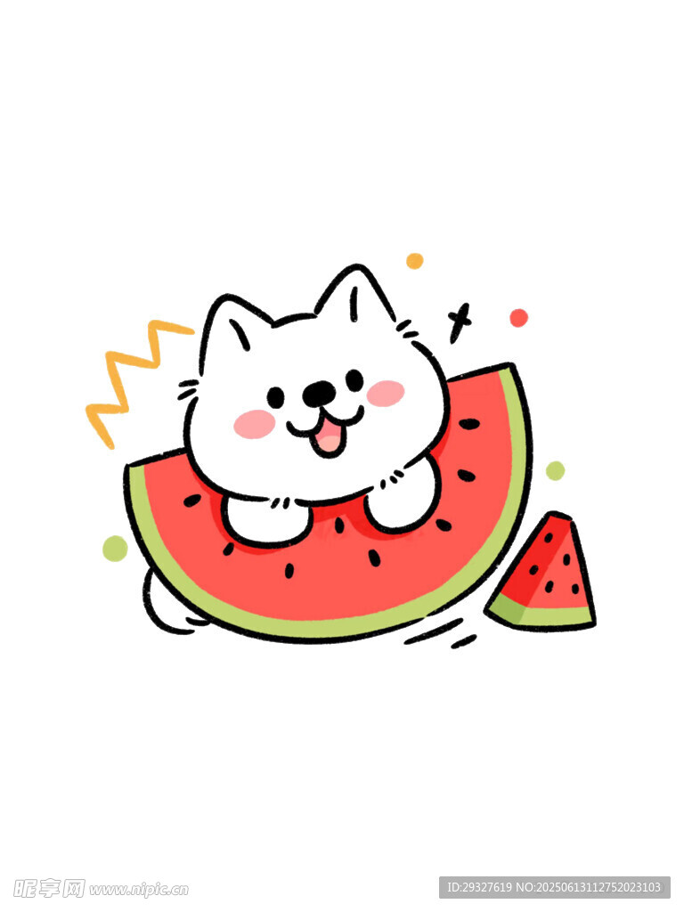 吃西瓜的可爱猫咪