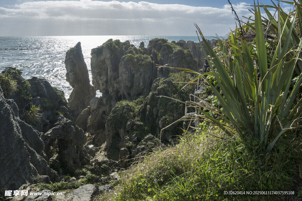 海岸边嶙峋怪石与绿植