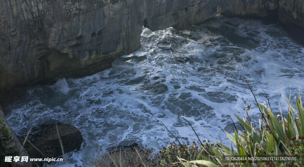 海边汹涌浪花与岸边绿植