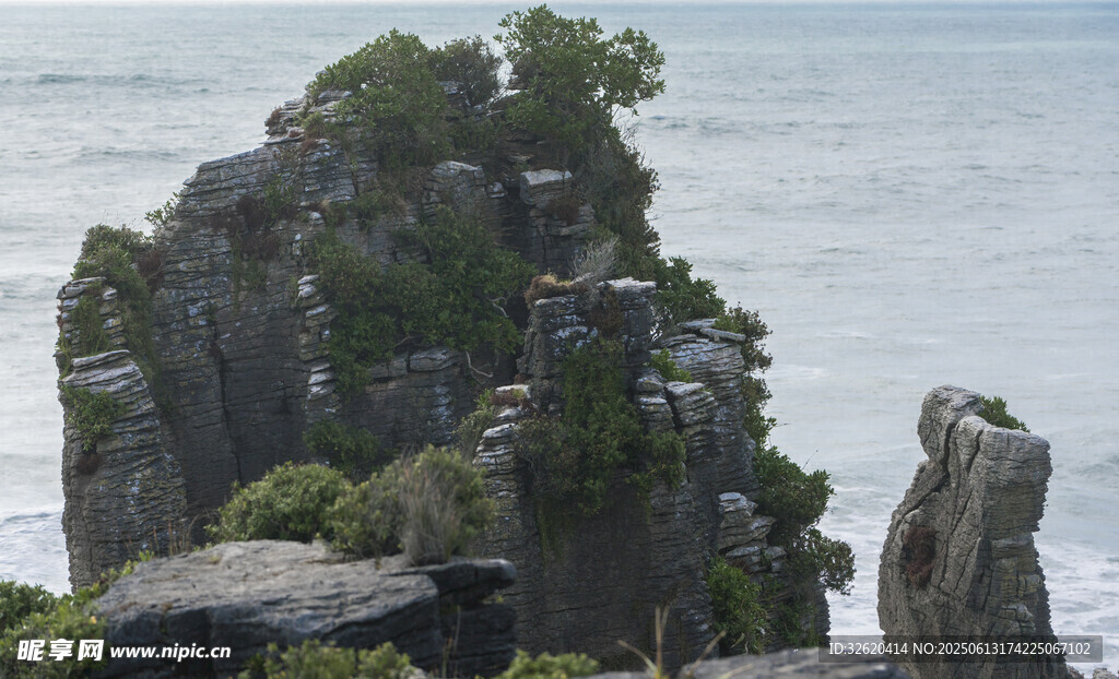 海边嶙峋怪石与绿植景观