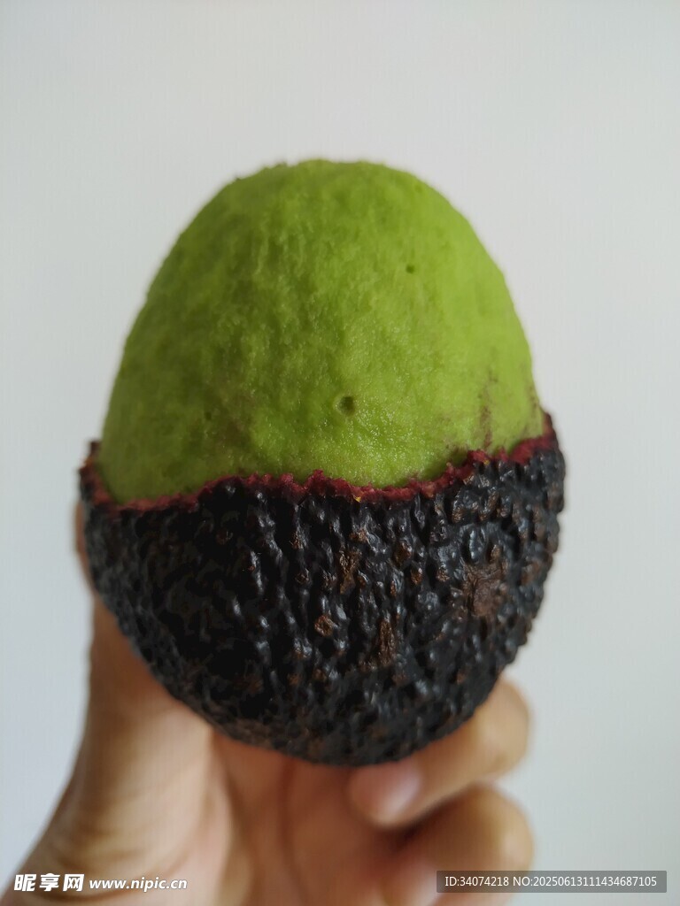 手捧剥开奇异牛油果