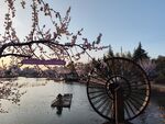 夕阳湖畔