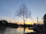夕阳