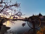 夕阳西下