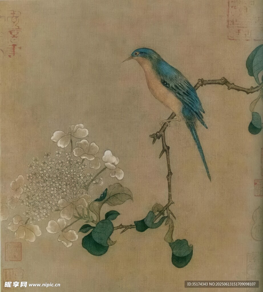 工笔画鸟图